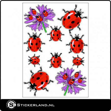 Stickerkit Lieveheersbeestjes (30x21cm)