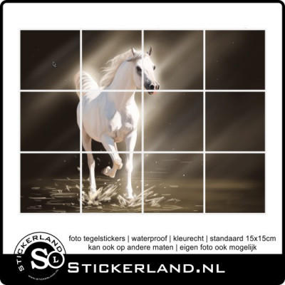 Foto tegelsticker Paard 01 (46x61cm)