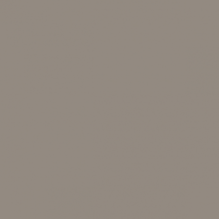 LG Interieur wrapfolie Matte-Color RS45