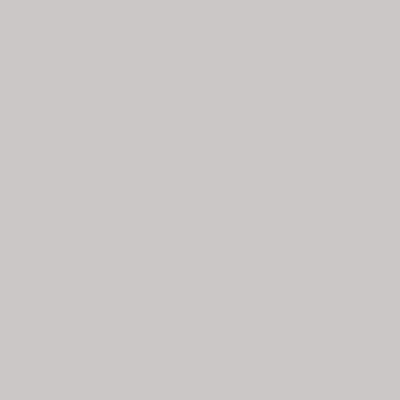 LG Interieur wrapfolie Matte-Color RS56