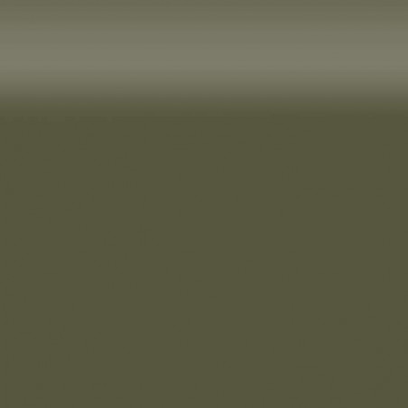 Avery Carwrap folie Satin Khaki Green