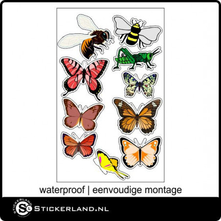 Fullcolor vlinder set III