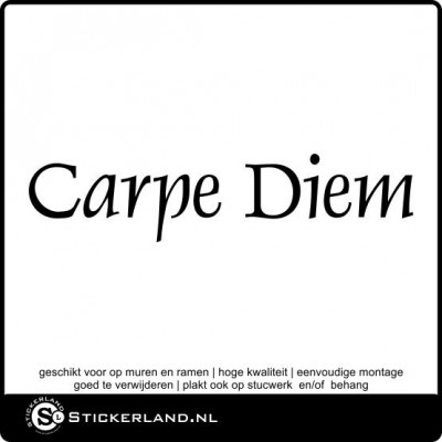 Spreuksticker Carpe Diem (100x23cm)